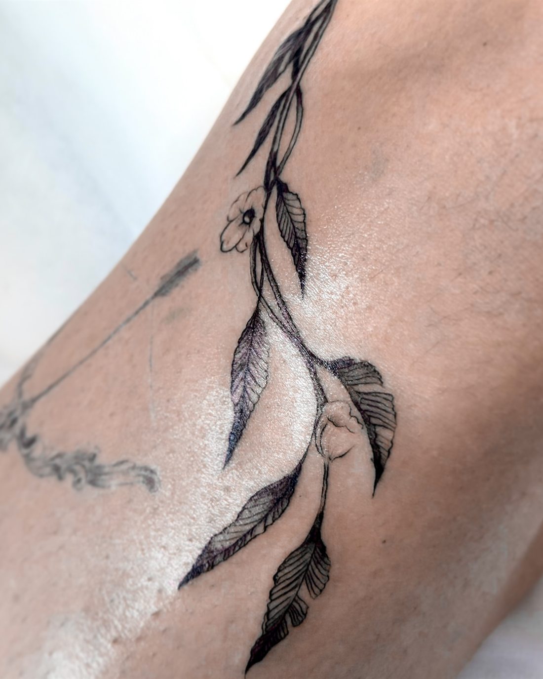 Tatouage d’une branche fleurie en trait fin