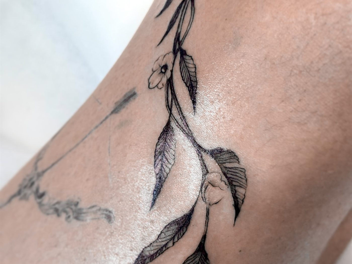 Exemple de tatouage en fine line